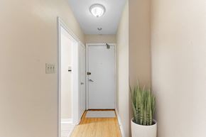North York apartment for rent - A white door is in a hallway with a plant on the right.