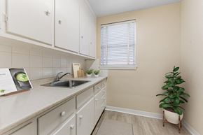North York apartment for rent - A kitchen with white cabinets and a plant on the floor.