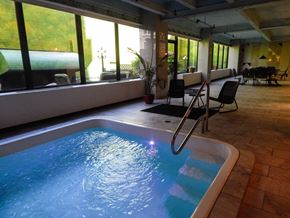 St. Louis apartment for rent - A small indoor pool with a ladder.
