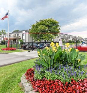 Westland apartment for rent - A flower bed with red, pink, and purple flowers in front of a building with a flag.