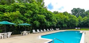 Waterford apartment for rent - A pool surrounded by trees and chairs.