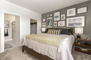 Novi apartment for rent - a bedroom with a bed and pictures on the wall