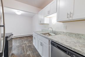 Inkster apartment for rent - A kitchen with a sink and a dishwasher.