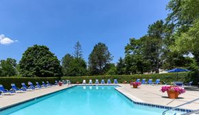 Farmington Hills apartment for rent - A large swimming pool surrounded by blue lounge chairs and trees.