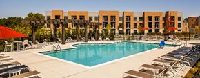 Auburn Hills apartment for rent - A large swimming pool surrounded by sun loungers and umbrellas.