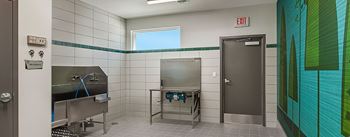 Pet-friendly environment