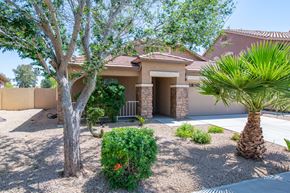 Queen Creek apartment for rent - A house with a brown roof and a palm tree in front.