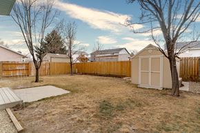 West Jordan apartment for rent - A backyard with a shed, a tree, and a wooden fence.