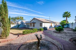 Mesa apartment for rent - a house with a yard and a tree in front of it