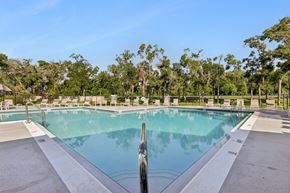 Tampa apartment for rent - A large swimming pool surrounded by trees and lounge chairs.