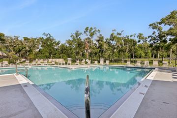 Tampa apartment for rent - A large swimming pool surrounded by trees and lounge chairs.