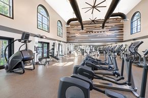 Alexandria apartment for rent - A gym with treadmills and elliptical machines.