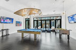 Washington apartment for rent - a game room with a pool table and a ping pong