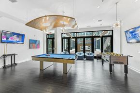 Washington apartment for rent - a games room with a pool table and ping pong