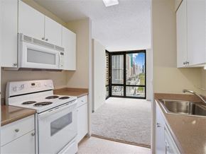 Chicago apartment for rent - a kitchen with white appliances and a view of the city