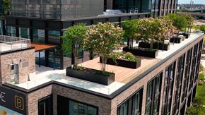 Bronx apartment for rent - a rendering of a building with trees on top of it