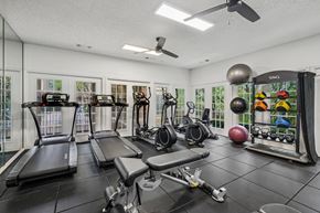 Mckinney apartment for rent - A well-equipped gym with treadmills, exercise balls, and weight racks.