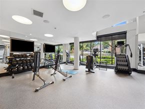 Alexandria apartment for rent - the gym is equipped with weights and cardio equipment