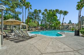 Las Vegas apartment for rent - A pool surrounded by palm trees and lounge chairs.
