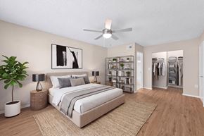 Coral Springs apartment for rent - A bedroom with a bed, a plant, and a ceiling fan.