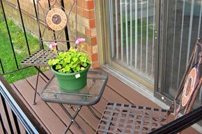 Milford apartment for rent - a potted plant sitting on a table on a balcony