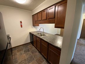 Bloomington apartment for rent - a kitchen with a sink and wooden cabinets