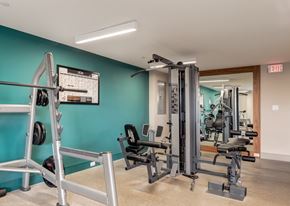Calgary apartment for rent - A gym with a variety of equipment including a squat rack, a leg press machine, and a bench press.