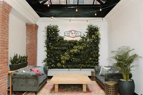 Victoria apartment for rent - A living room with a couch, a table, and a green plant.