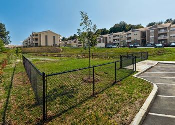 Dog park
