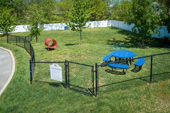 Dog park