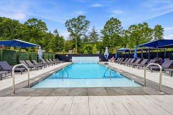 Swimming pool and private cabanas