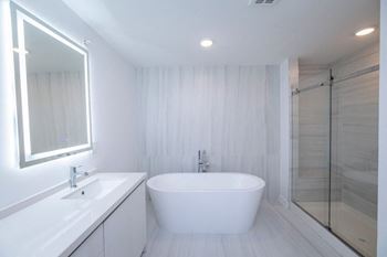 Luxurious bathroom