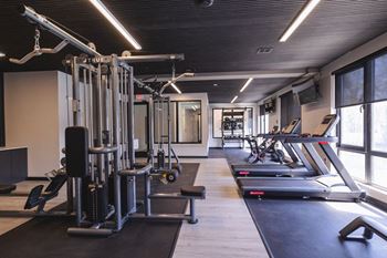 Modern fitness center
