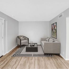 Metairie apartment for rent - A living room with a grey sofa, a grey armchair, a black coffee table and a grey rug.