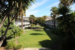 San Leandro apartment for rent - a yard with grass and palm trees in front of apartments
