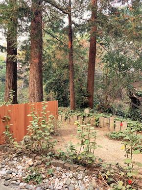 El Sobrante townhouse for rent - a wooded area with trees and a fence