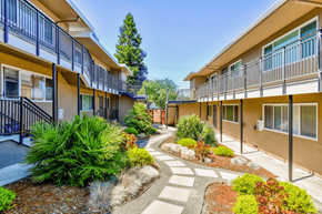Oakland apartment for rent - the courtyard of a building with a pathway and plants