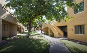 Tucson apartment for rent - A tree in front of a building with a staircase.