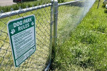 Dog run