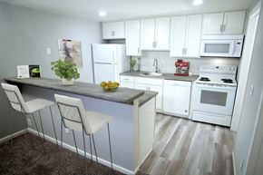 Lansing apartment for rent - Kitchen