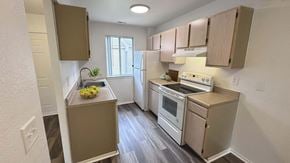 Shelby Twp apartment for rent - Kitchen