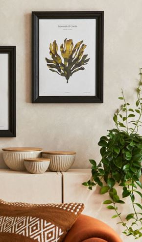 New York apartment for rent - A framed botanical print hangs on a wall above a shelf with bowls and a potted plant.