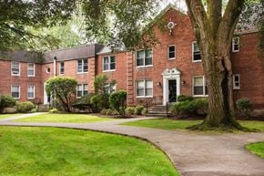White Plains apartment for rent - A red brick building with a tree in front.