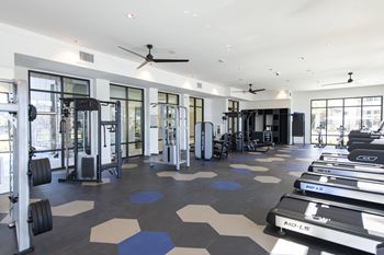 Expansive fitness club