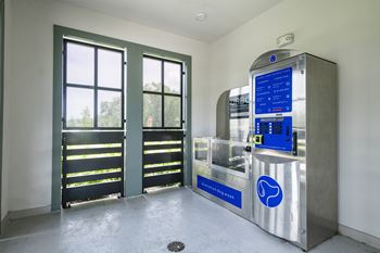 Bark park with pet wash station