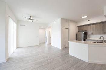 Open concept kitchen
