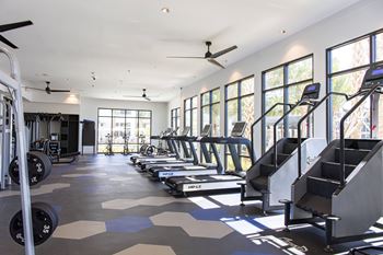 Expansive fitness club