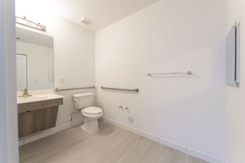 Grab bar accommodations