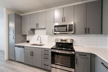 Contemporary gray cabinetry