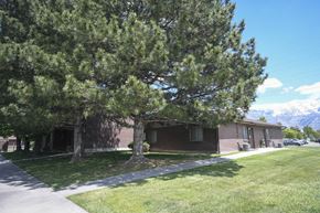 American Fork apartment for rent - a building with a tree in the front of it